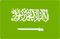 اختر لغة الدردشة
